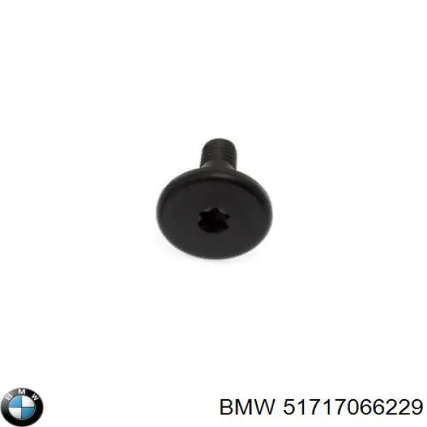 Пістон (кліп) кріплення накладок порогів BMW 51717066229 ціна, від 0.52 USD