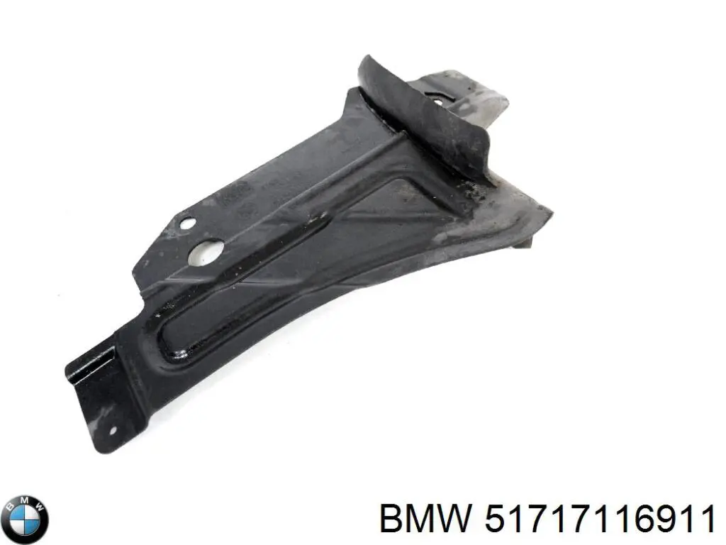 51717116911 BMW 