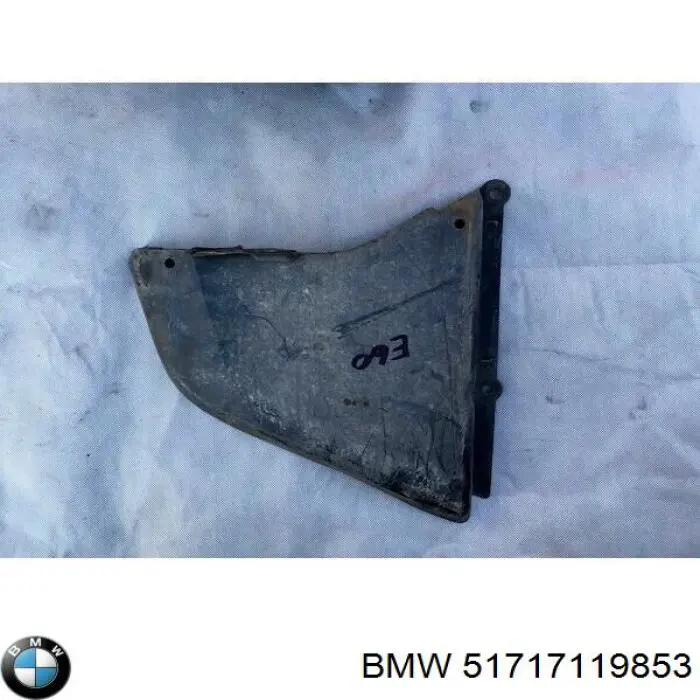 51717119853 BMW Захист двигуна, лівий