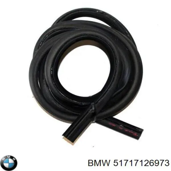  51717126973 BMW