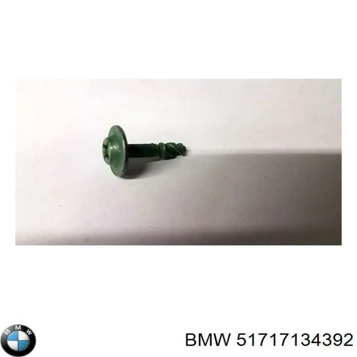 Купити 51717134392 BMW Пробка піддона двигуна