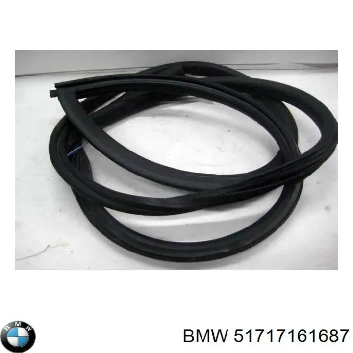  51717161687 BMW