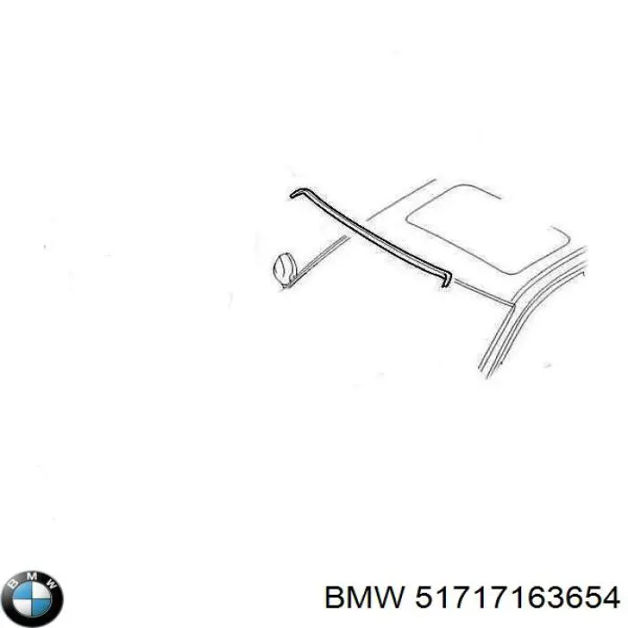51717163654 BMW 
