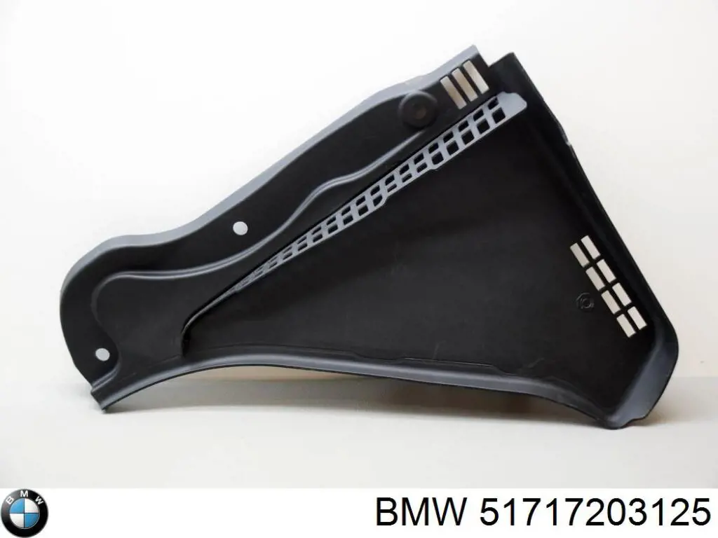 51717203125 BMW Водостік лобового скла, жабо