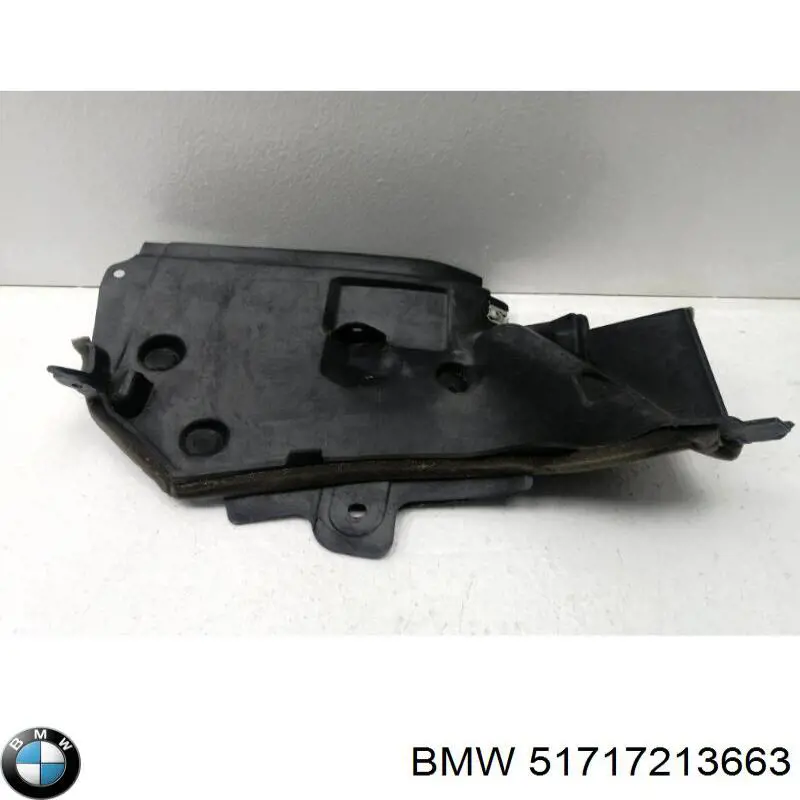  51717213663 BMW