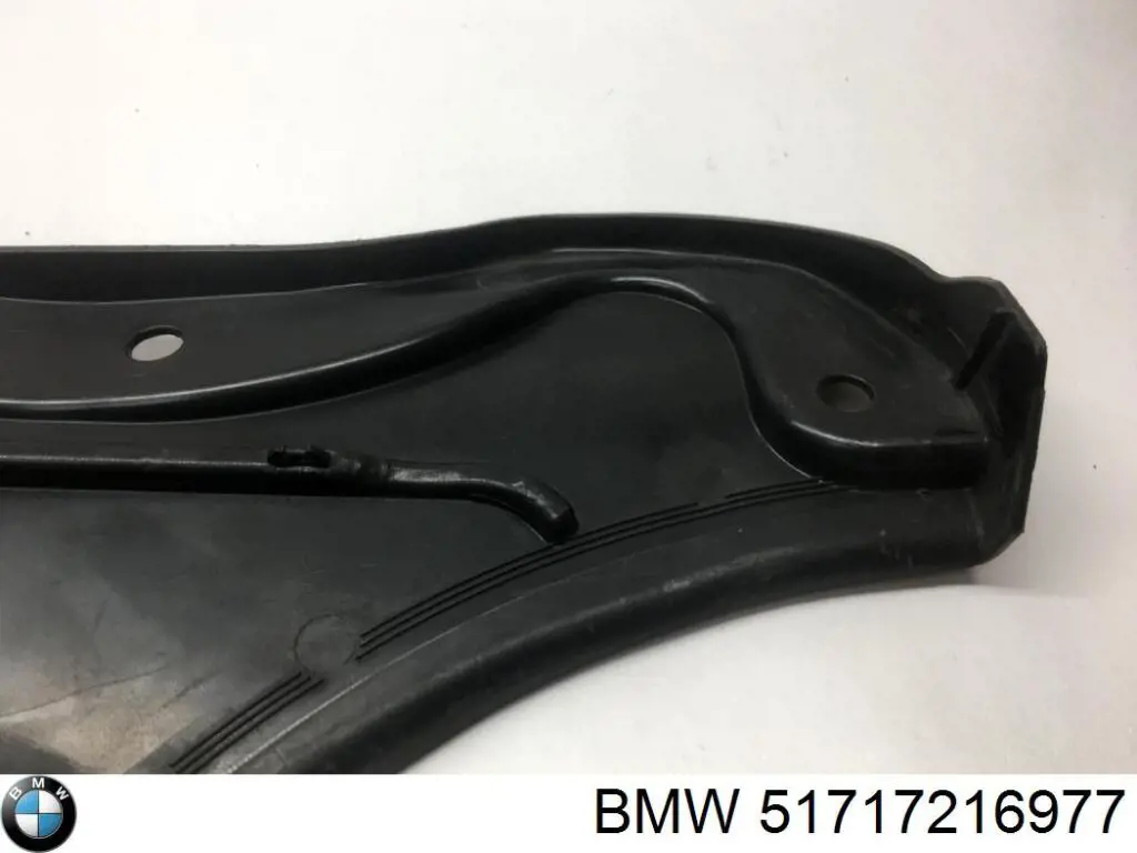 Решітка двірників, ліва 51717216977 BMW