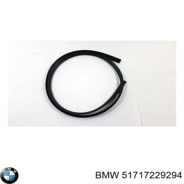  BMW 51717229294 ціна, від 37.87 USD