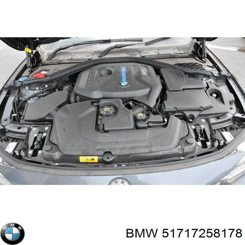  BMW 51717258178 ціна, від 38.01 USD