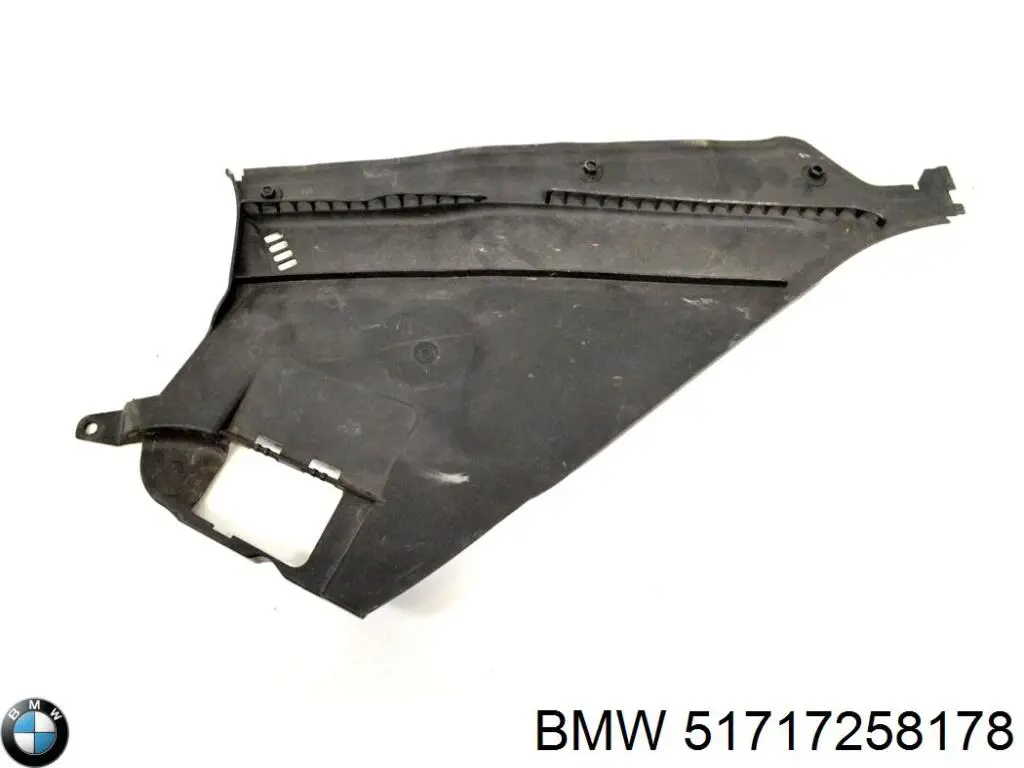 51717258178 BMW 