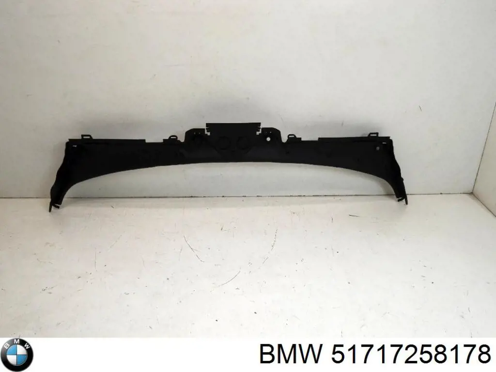  51717258178 BMW