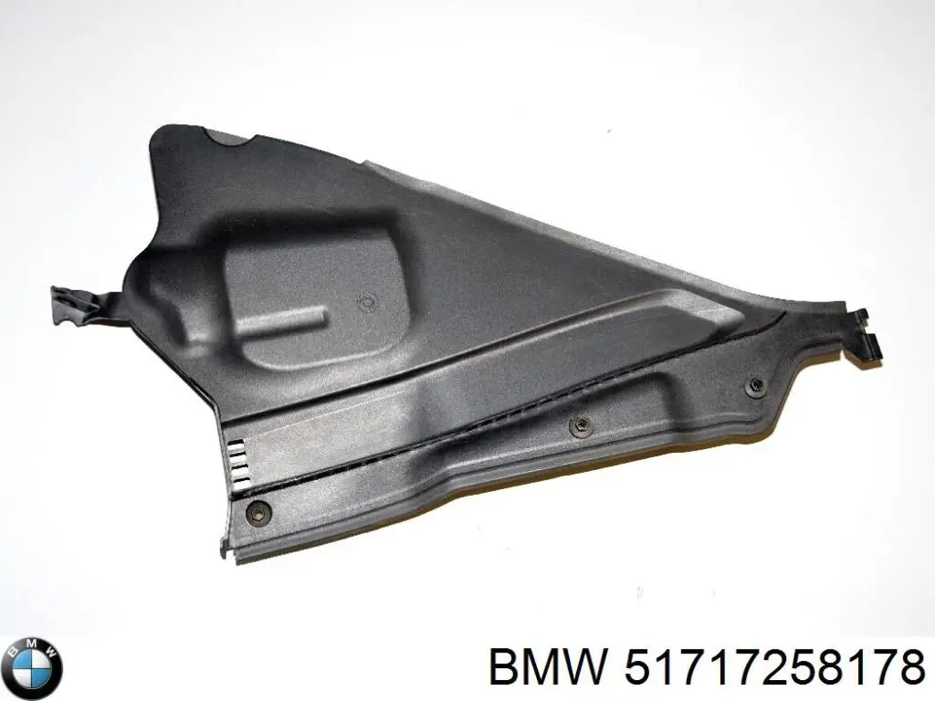 Купити 51717258178 BMW 