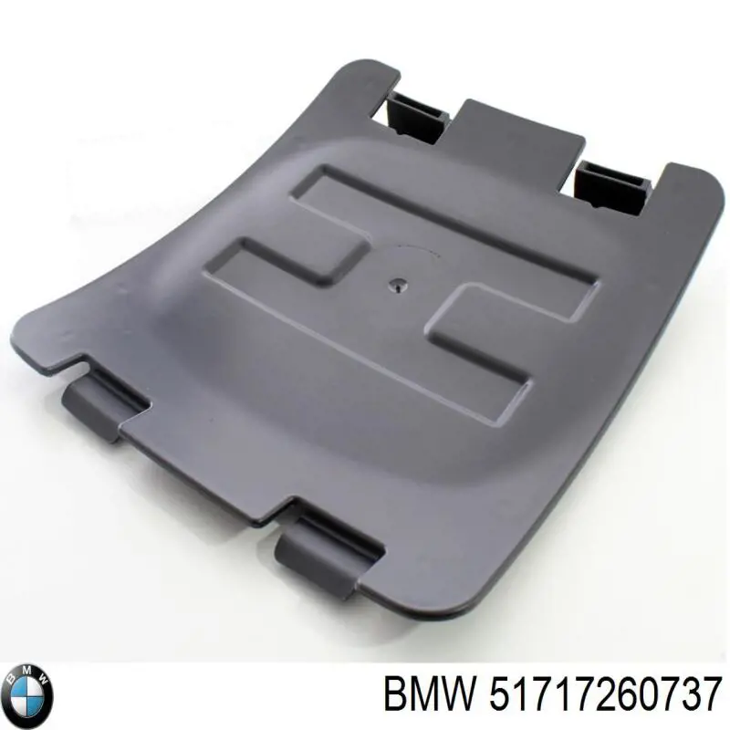 51717260737 BMW 