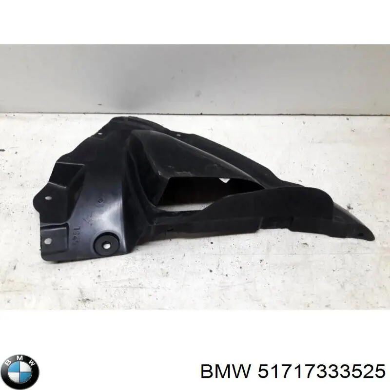 Купити 51717333525 BMW Захист двигуна, лівий