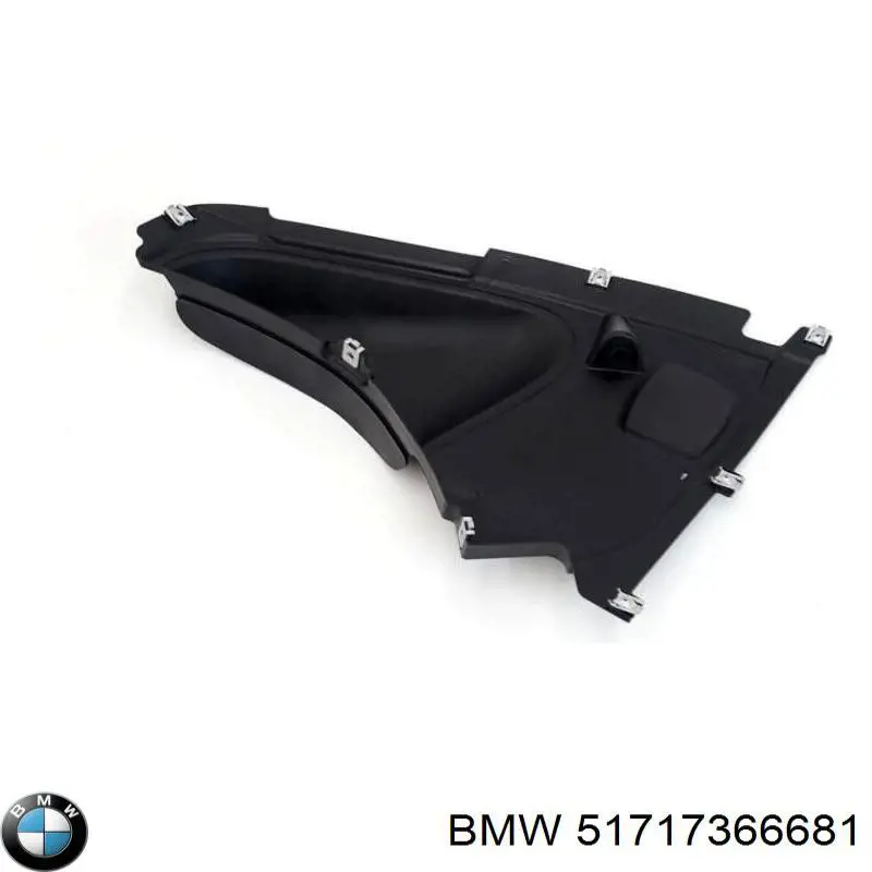 51717366681 BMW 