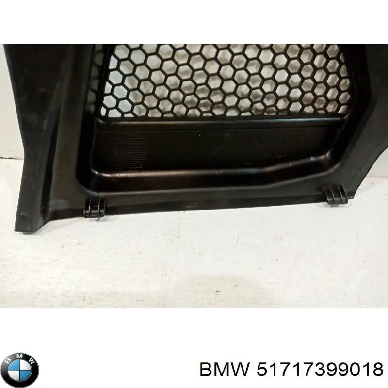 Заглушка жабо збоку BMW 51717399018 ціна, від 29.14 USD