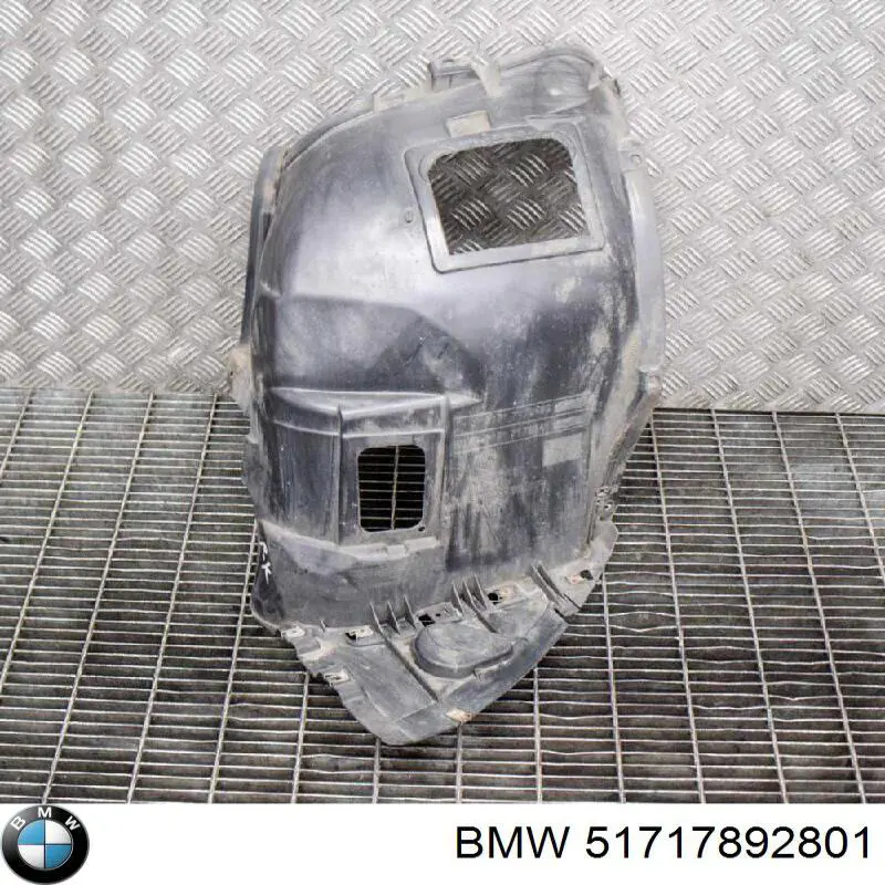 Купити 51717892801 BMW Захист двигуна, лівий