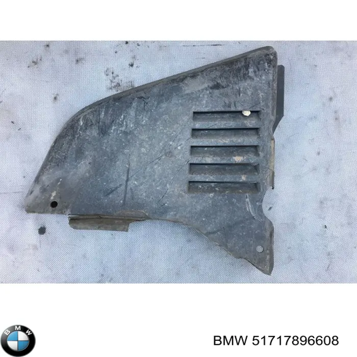 51717896608 BMW Щиток брудозахисний передньої арки крила