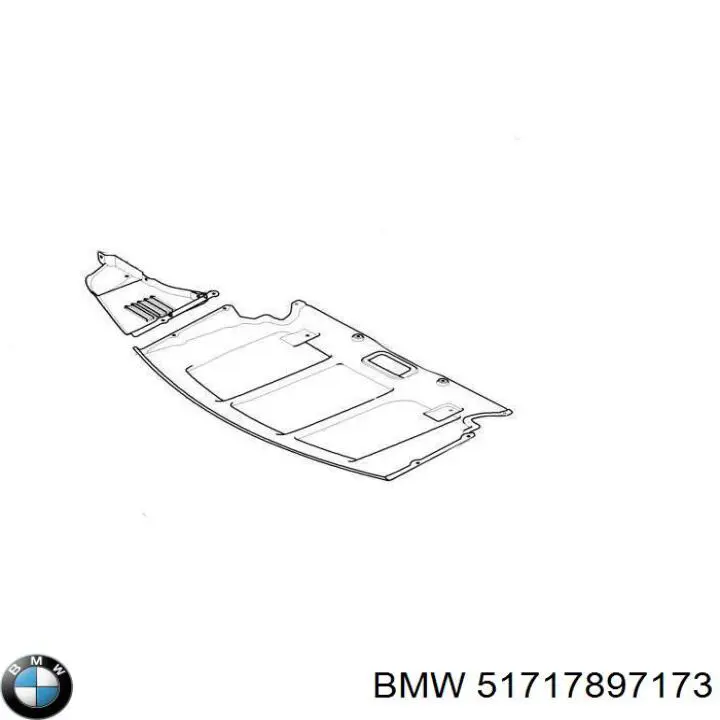  51717897173 BMW