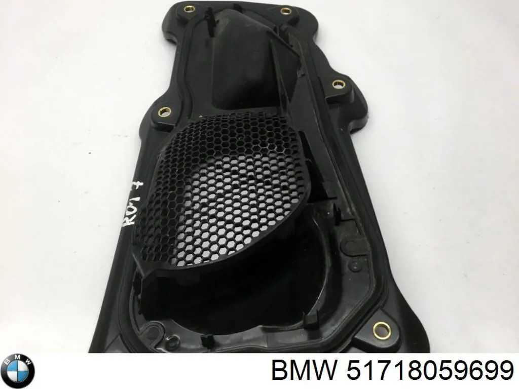  51718059699 BMW