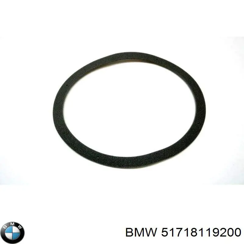  BMW 51718119200 ціна, від 18.41 USD