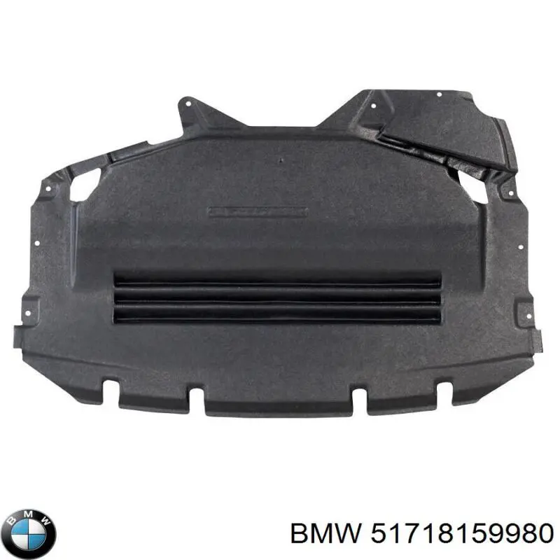 51718159980 BMW захист двигуна, піддона (моторного відсіку)