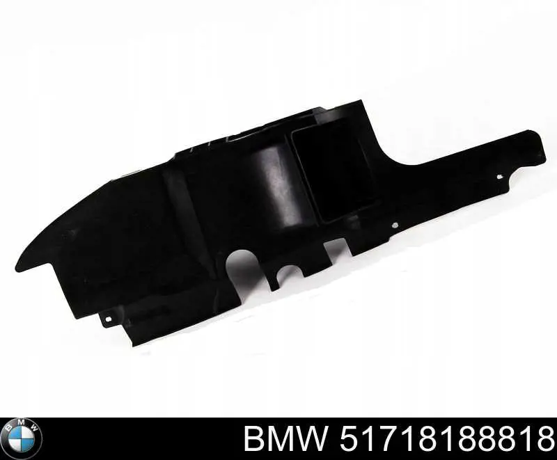 51718188818 BMW 