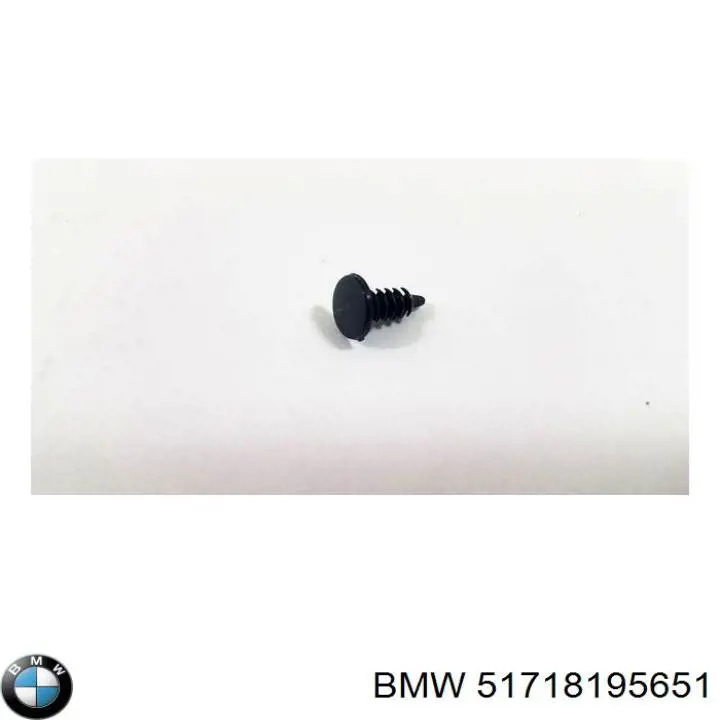 Купити 51718195651 BMW 