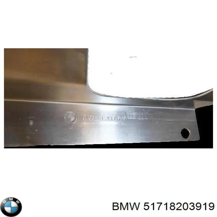  BMW 51718203919 ціна, від 25.97 USD