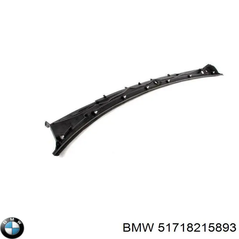 51718215893 BMW 