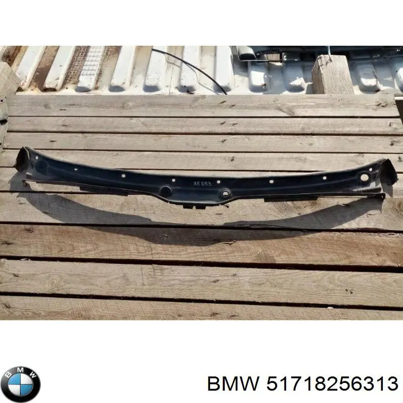 Купити 51718256313 BMW Водостік лобового скла, жабо