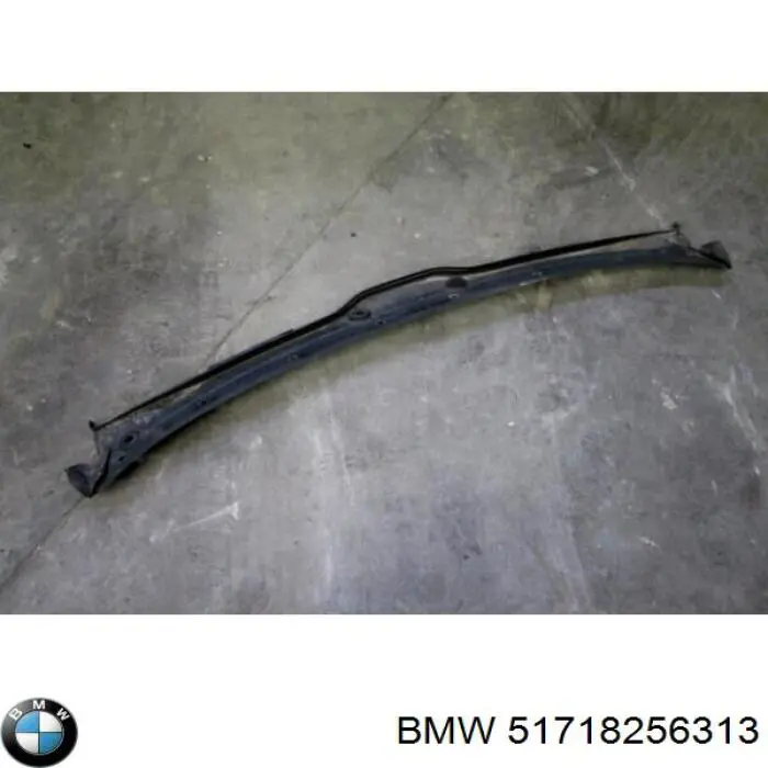 51718256313 BMW Водостік лобового скла, жабо