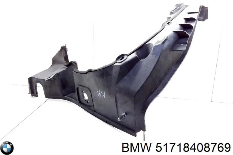 Купити 51718408769 BMW Захист двигуна, лівий