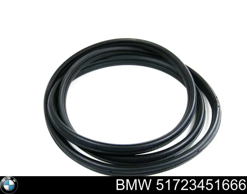 BMW 51723451666 ціна, від 38.01 USD