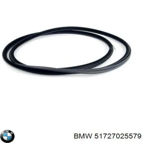 Ущільнювач двері передньої (на кузові) BMW 51727025579 ціна, від 165.98 USD