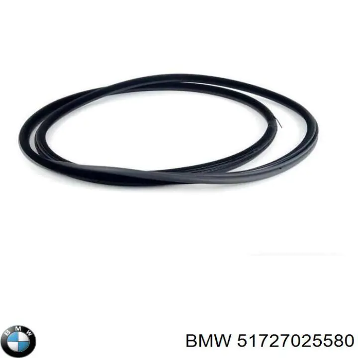 Купити 51727025580 BMW Ущільнювач двері задньої (на кузові)