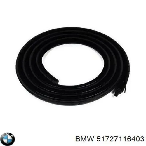 Ущільнювач двері передньої (на кузові) BMW 51727116403 ціна, від 57.00 USD