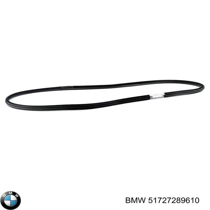 Ущільнювач двері передньої (на кузові) BMW 51727289610 ціна, від 207.96 USD