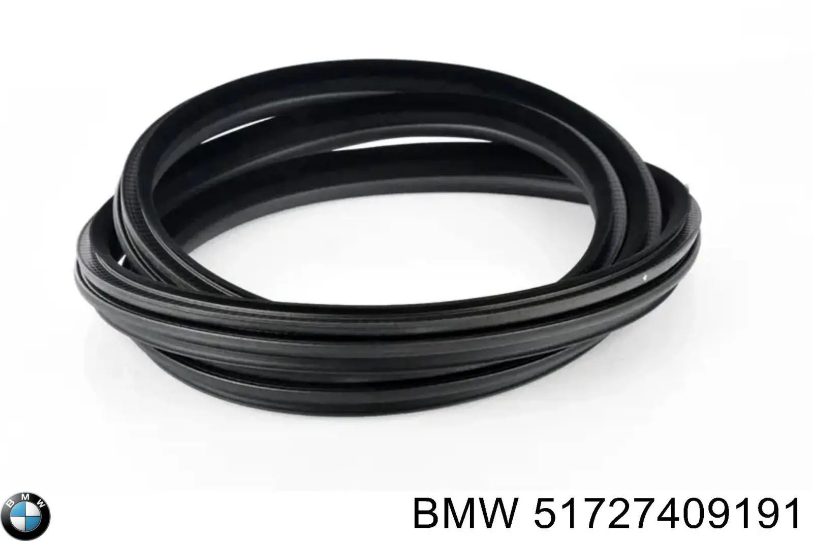 51727409191 BMW Ущільнювач двері задньої лівої (на кузові)
