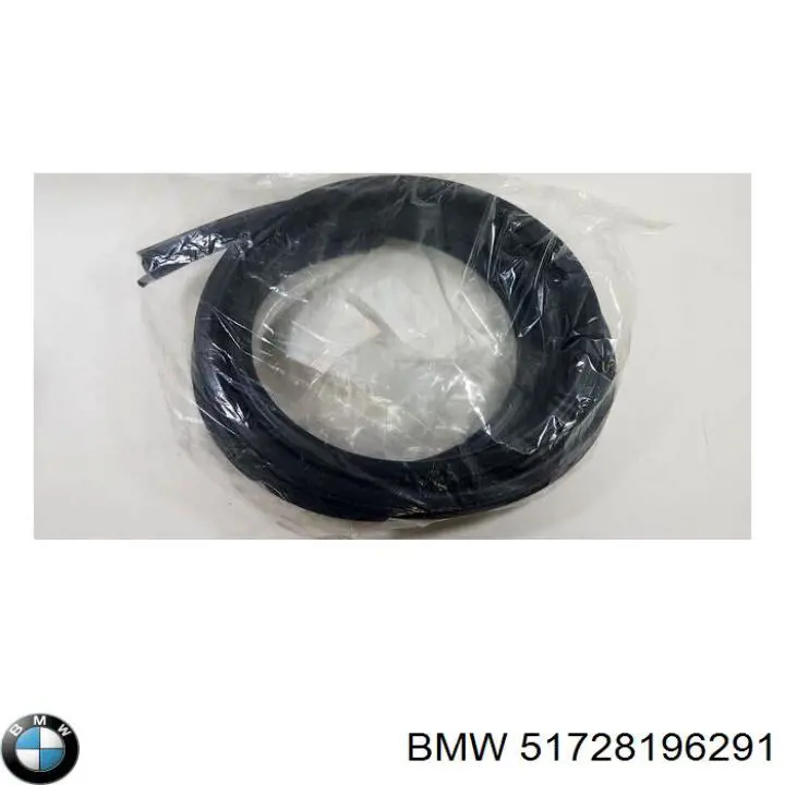 Купити 51728196291 BMW Ущільнювач двері передньої (на кузові)