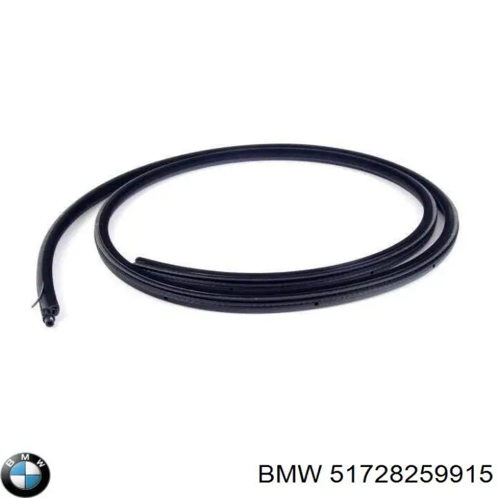 Купити 51727116405 BMW Ущільнювач двері задньої (на кузові)