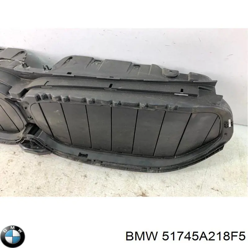  51745A218F5 BMW