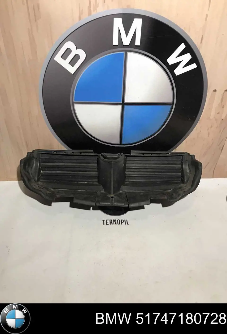 51747180728 BMW Жалюзі радіатора охолодження