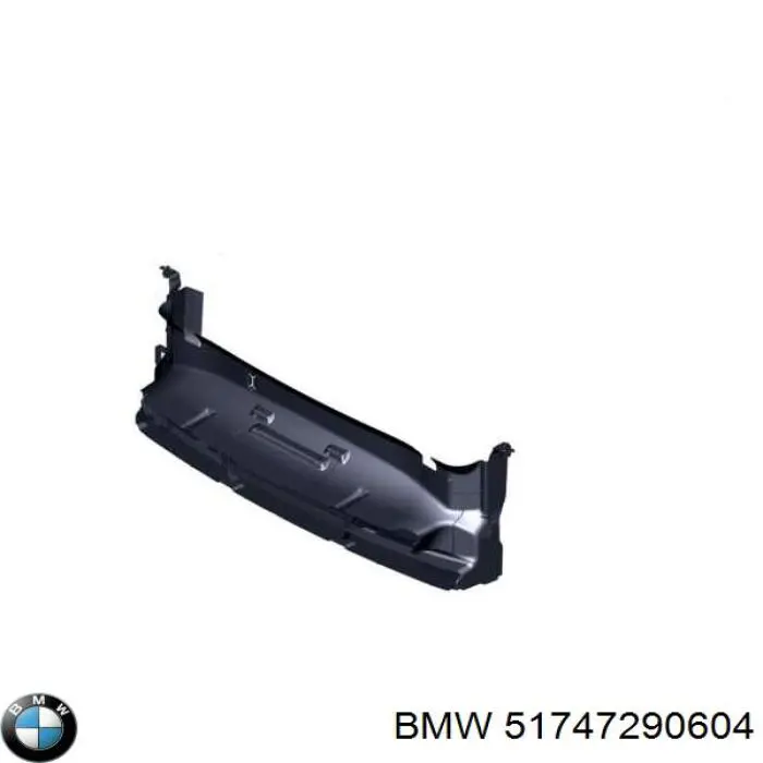  51747290604 BMW