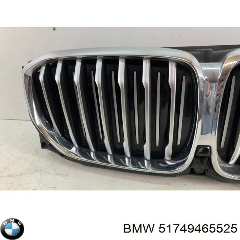 Купити 51749465525 BMW Захисна решітка радіатора