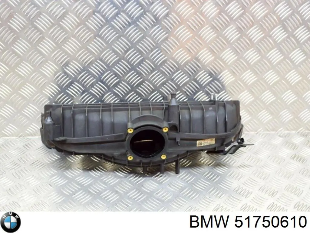  51750610 BMW