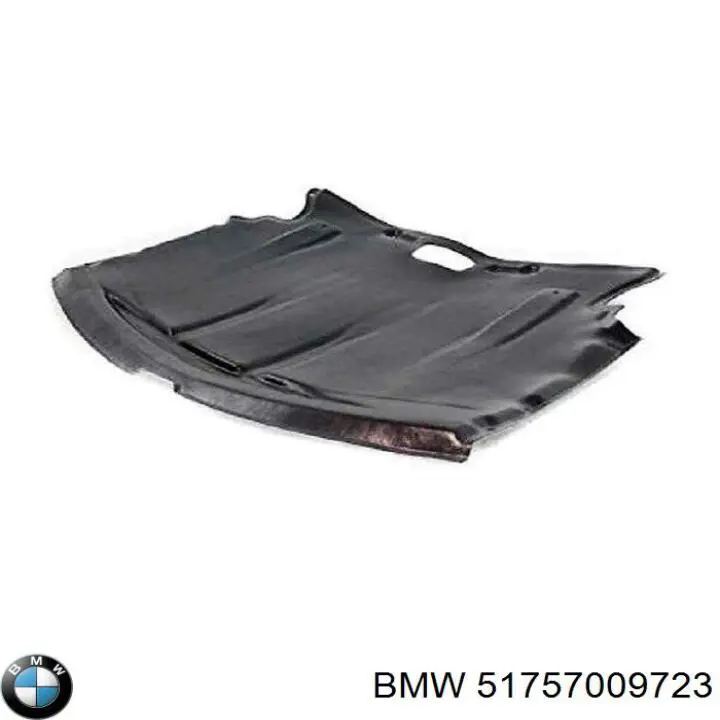 51757009723 BMW Захист двигуна передній