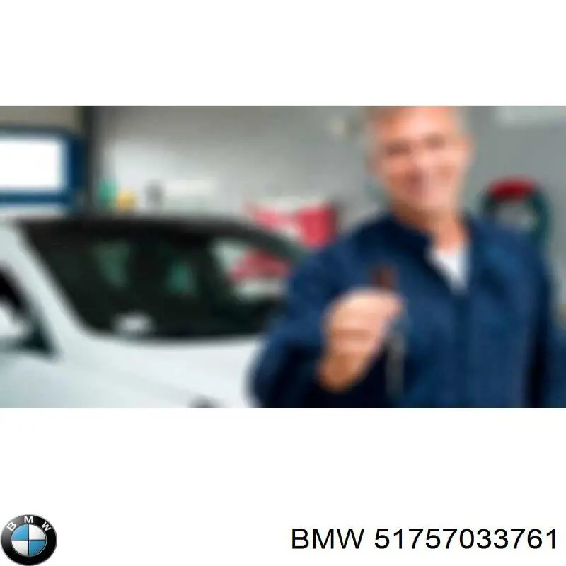 Захист двигуна 51757033761 BMW