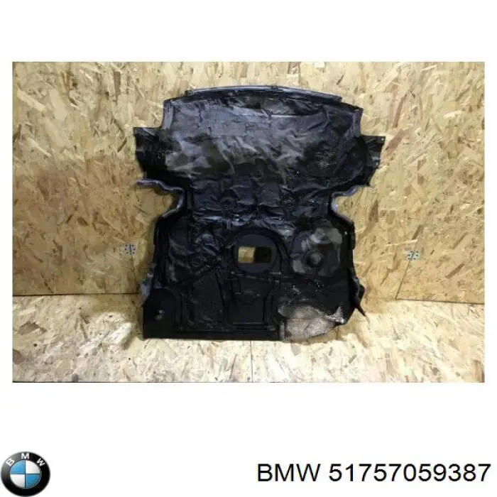 51757059387 BMW Захист двигуна передній