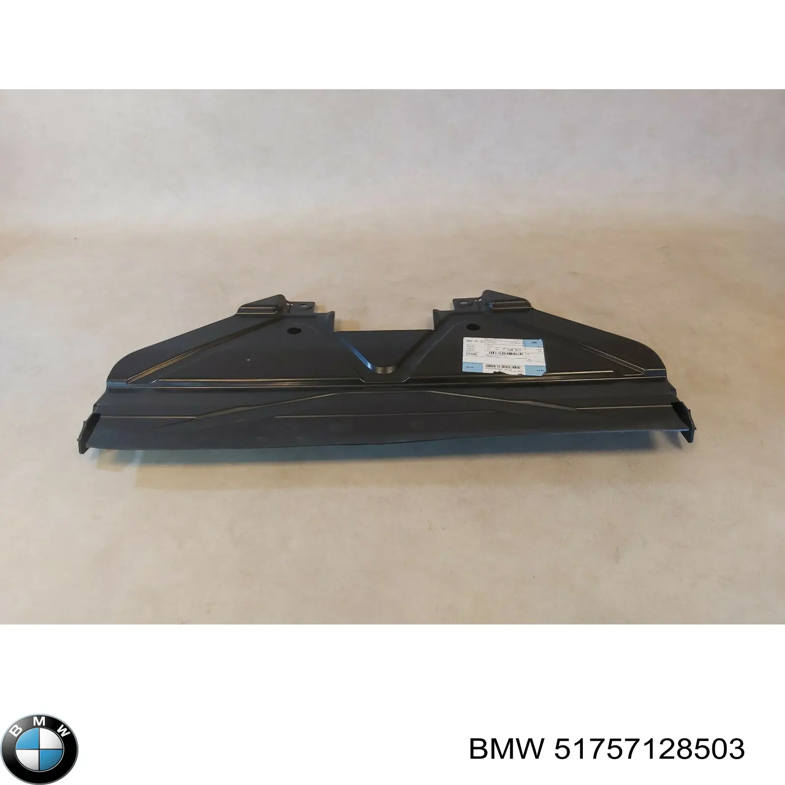 Захист картера двигуна BMW 51757128503