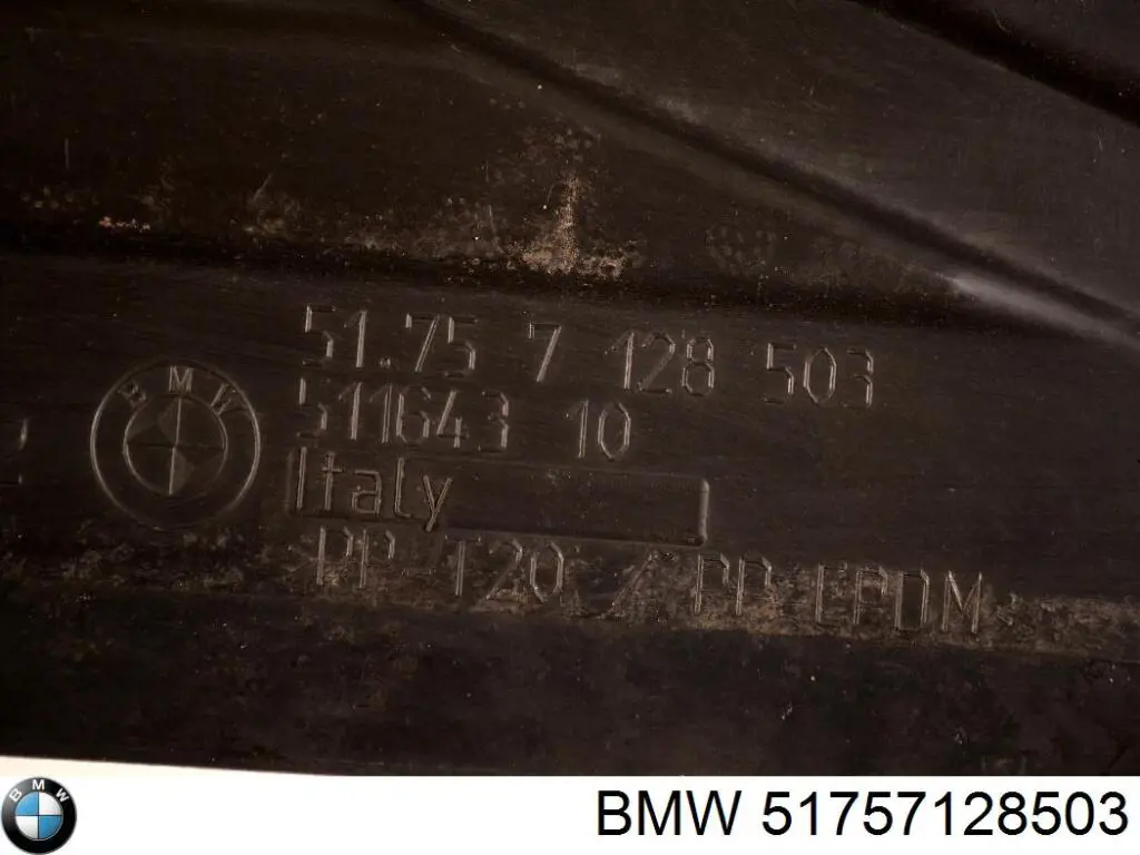 51757128503 BMW Захист ДВС